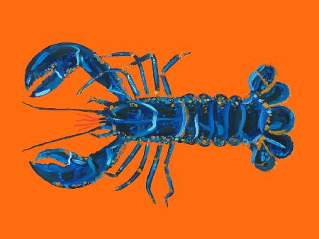 Lobster On Orange