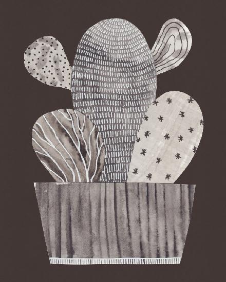 Little cactus