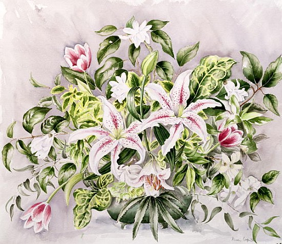 Still life with Tiger Lilies, 1996 (w/c)  à Alison  Cooper