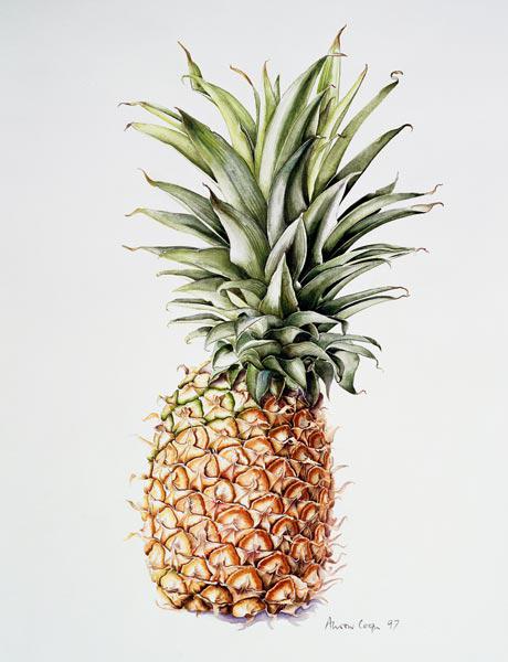 Ananas