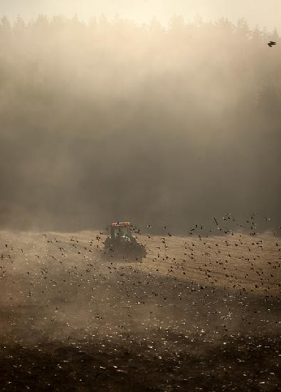 A farmer cares for his field in the mist