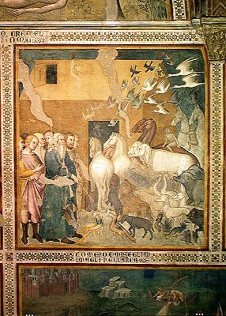 Noah Leading the Animals into the Ark à also Manfredi de Battilori Bartolo di Fredi