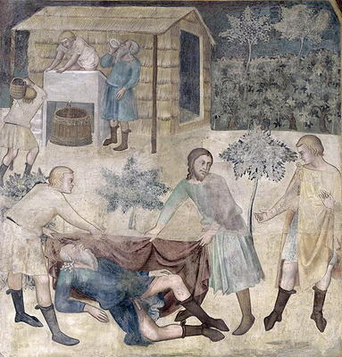 The Drunkenness of Noah, 1356-67 (fresco) à also Manfredi de Battilori Bartolo di Fredi