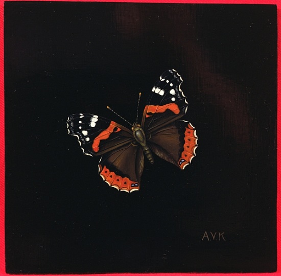 Red Admiral butterfly à  Amelia  Kleiser
