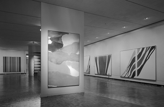 The Exhibition 'Form-Colour-Image', at the Detroit Institute of Arts à Photographe américain