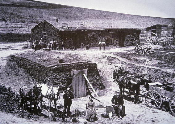 The sod homestead of the Barnes Family, Custer County, Nebraska, 1887 (b/w photo) à Photographe américain, (19ème siècle)