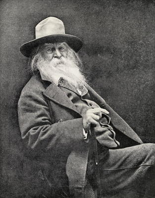 Walt Whitman (1819-91) (b/w photo) à Photographe américain, (19ème siècle)