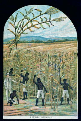 Cutting cane on a sugar plantation in America's Deep South (colour litho) à Ecole americaine