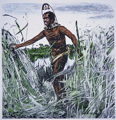 Runaway slave (coloured engraving) à Ecole americaine
