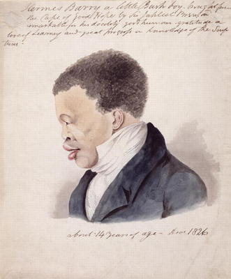 Portrait of Hermes Barry, c.1826 (w/c and ink on paper) à École américaine, (19ème siècle)