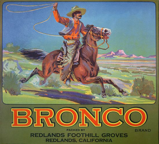 'Bronco Oranges' à École américaine (20ème siècle)