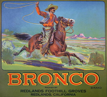 'Bronco Oranges', c.1900 (colour litho) à École américaine (20ème siècle)