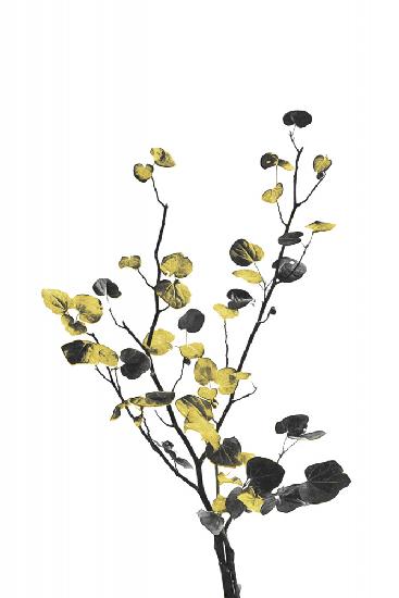 Flower Minimal Black and Gold 07