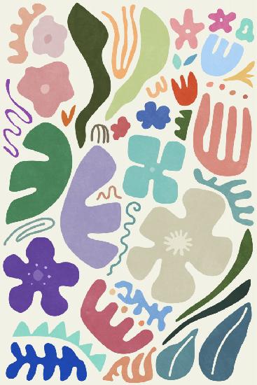 Floral Colors and Shapes