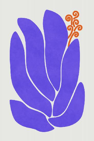 Purple Lily Flower