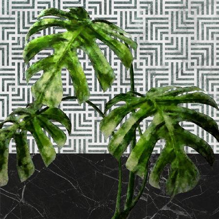 Monstera Leaves on Tiled Wall