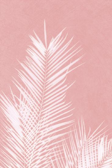 Palm Leaves On Pink Silhouette II