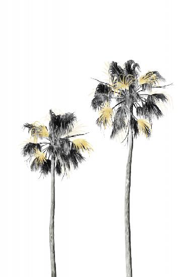 Palm Tree Black, White and Gold 01