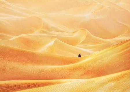 Golden Dunes in The Arabian Desert