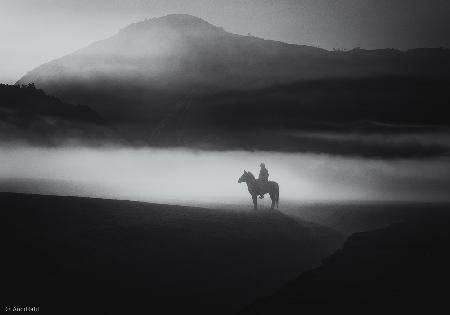 Morning in Bromo