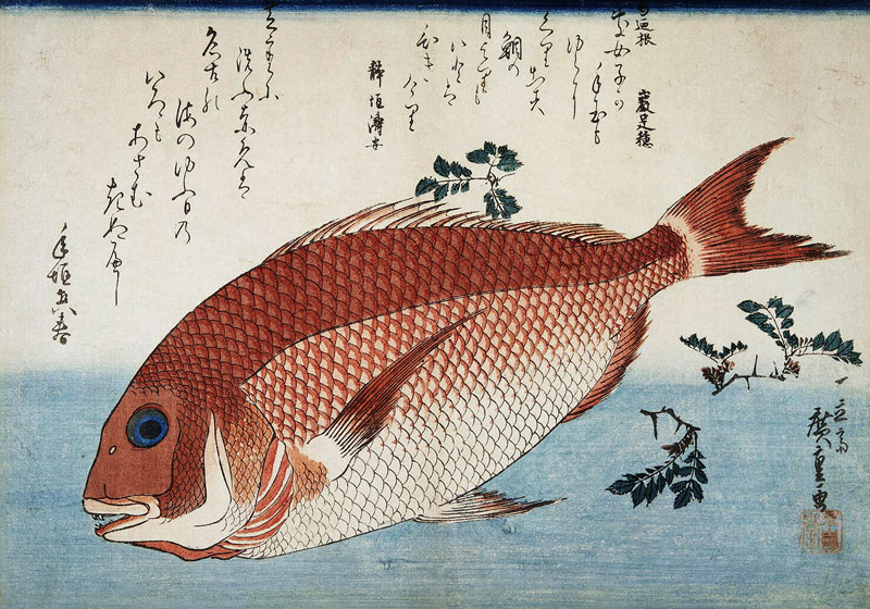 Red Sea Bream à Ando oder Utagawa Hiroshige