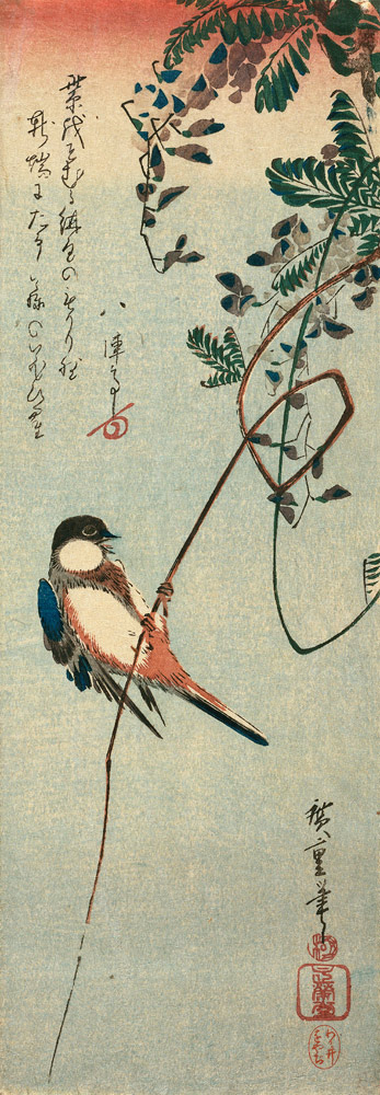 Schwalbe auf einem Ast einer Glyzinie sitzend. à Ando oder Utagawa Hiroshige