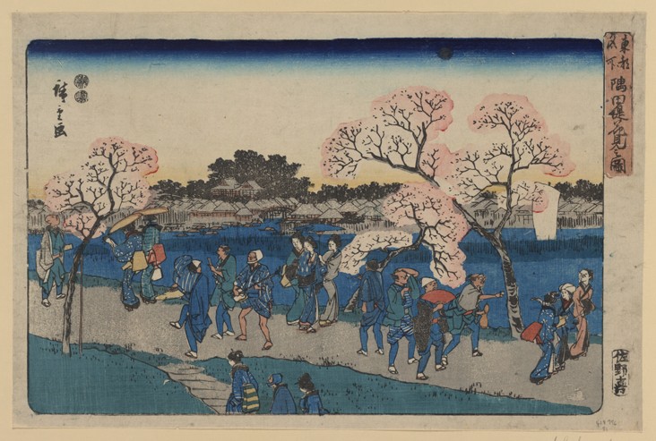 Cherry blossoms along Sumida River. (Sumida tsutsumi hanami no zu) à Ando oder Utagawa Hiroshige