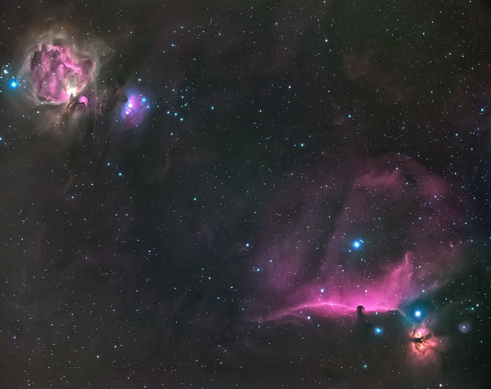 Orion Nebula and The Horsehead à Andrea Auf dem