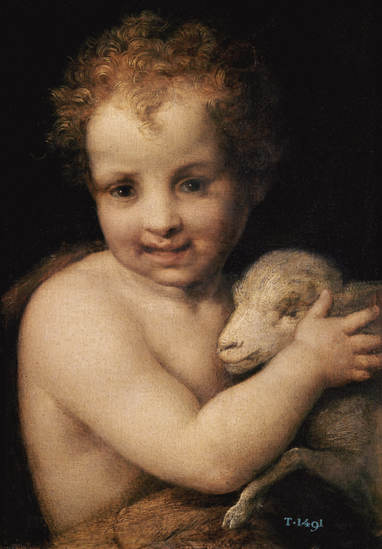 John the Baptist as child à Andrea del Sarto