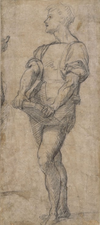Standing youth holding a book à Andrea del Sarto