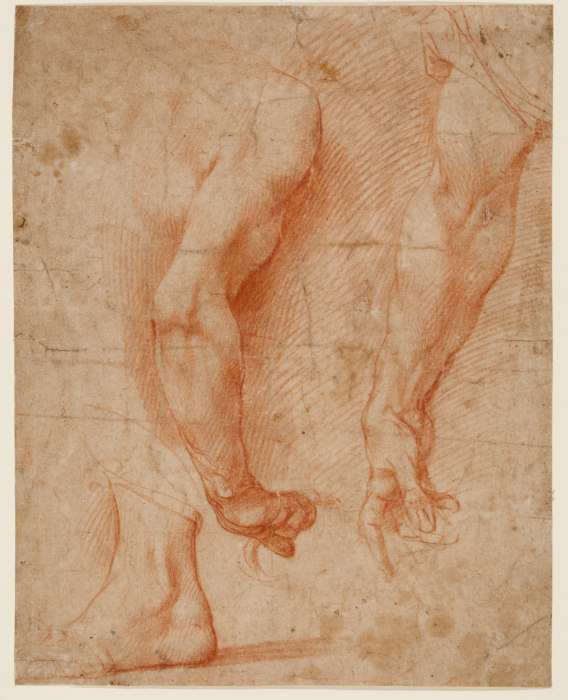 Studien von zwei Armen und eines Fußes à Andrea del Sarto