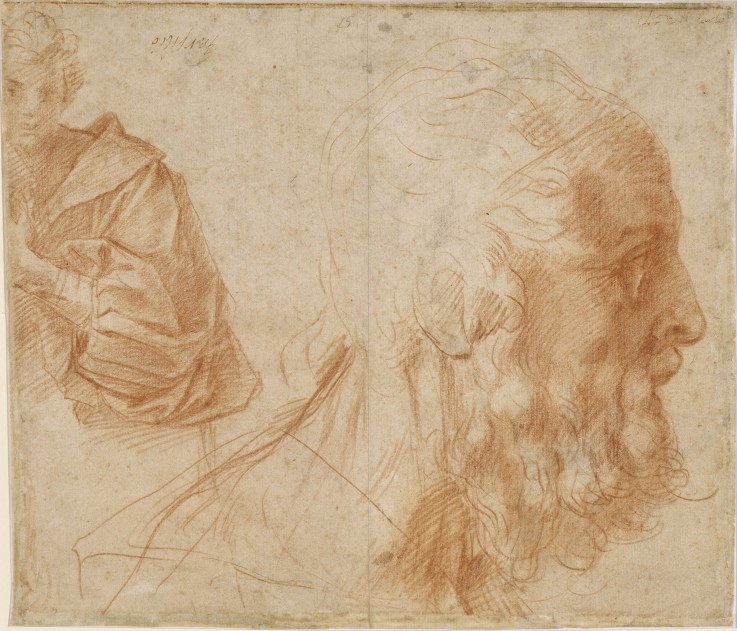 A youth and the head of an old man (Homer?). Study à Andrea del Sarto
