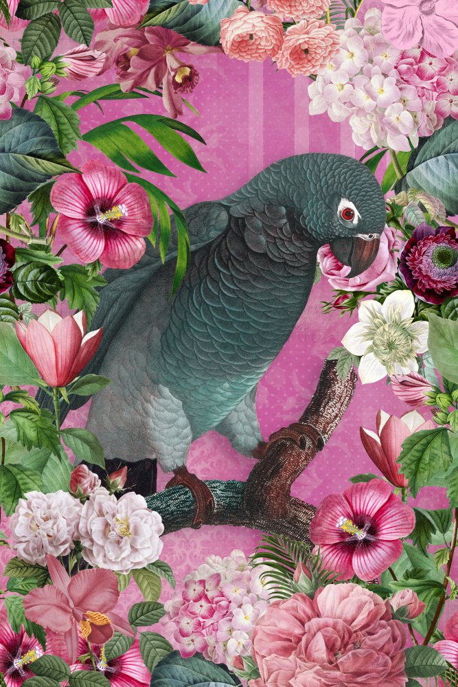 The Parrots Paradise Garden 3 à Andrea Haase
