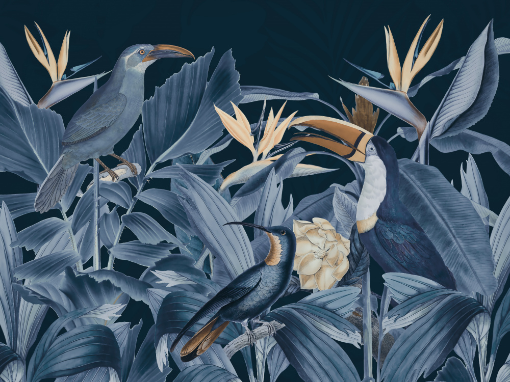 Rainforest Birds Blue à Andrea Haase