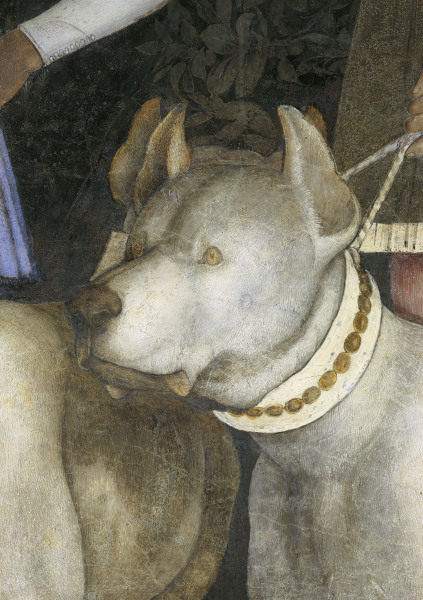 Camera d.Sposi, Dog à Andrea Mantegna