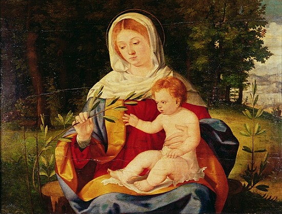 The Virgin and Child with a shoot of Olive, c.1515 à Andrea Previtali