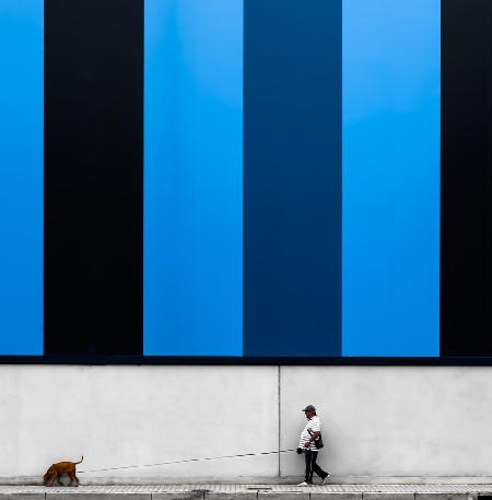 man with red dog on blue background