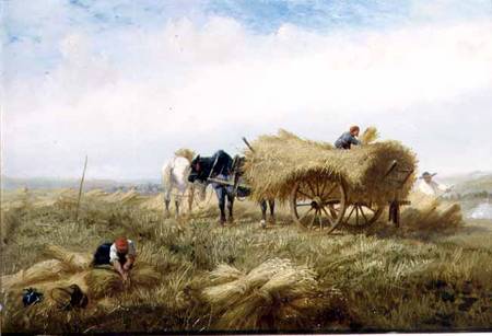 Harvesting, near Boulogne-sur-Mer à Andrew Beavis