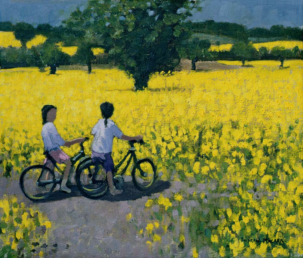 Yellow Field, Kedleston, Derby (oil on canvas)  à Andrew  Macara