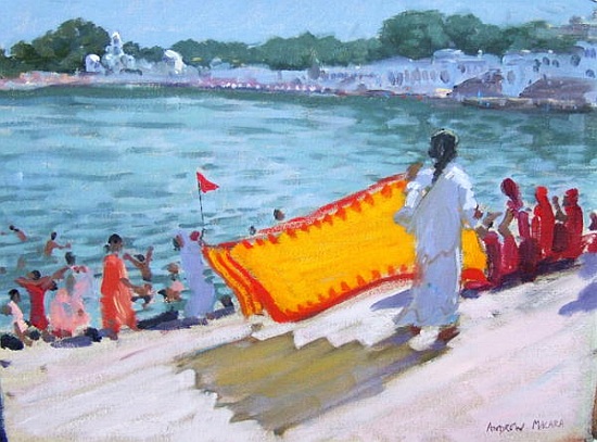 Drying Sari, Pushkar à Andrew  Macara