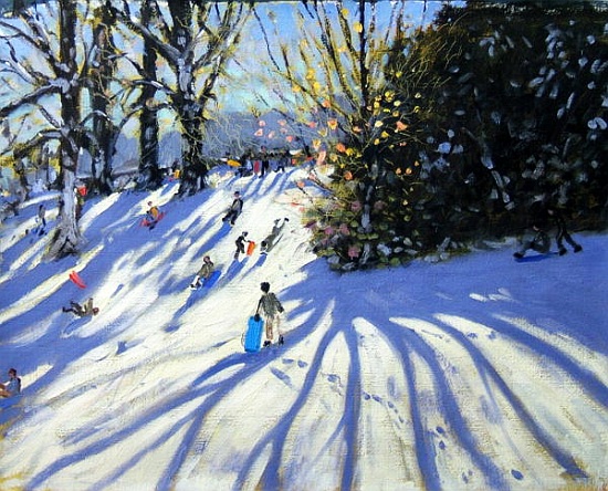 Early snow, Darley Park à Andrew  Macara