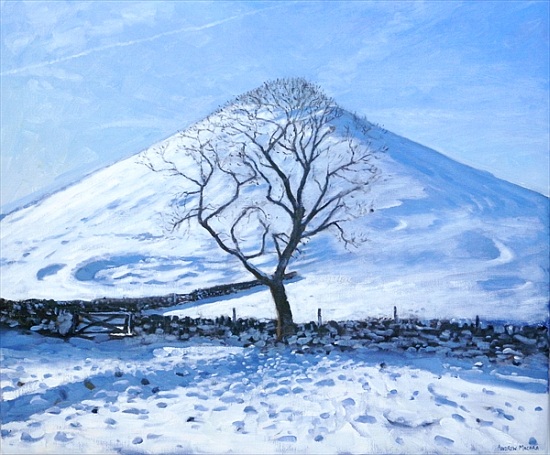 Hill and Tree, Derbyshire à Andrew  Macara