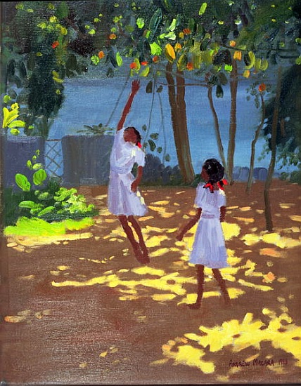Reaching for Oranges, Bentota, Sri Lanka à Andrew  Macara