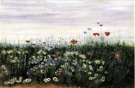 Poppies, Daisies and other Flowers by the Sea à Andrew Nicholl