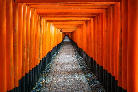 The Red Pathway of Fushimi Inari Gate