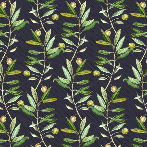 Olive branches à Andrew Watson
