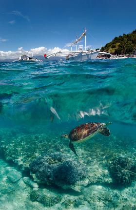 Dive to Philippines