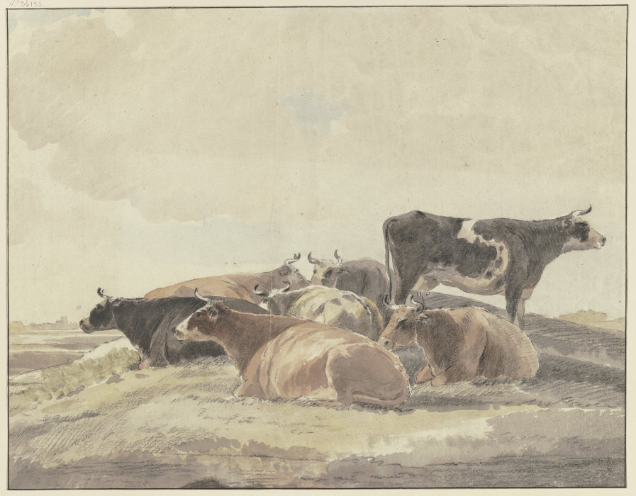 Auf einem Hügel sechs liegende und eine stehende Kuh à Andries Vermeulen