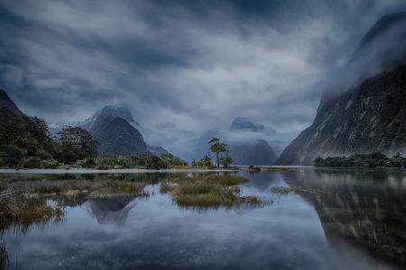 blue hour Milford Sound