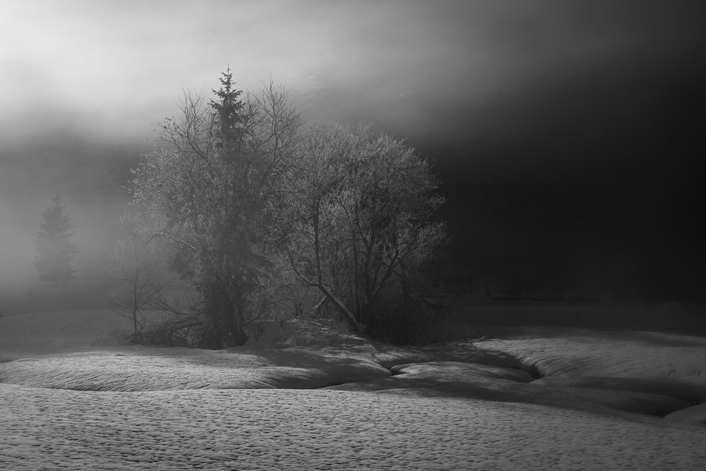 winter is painting in bw à Andy Dauer